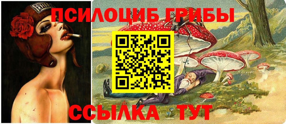 Галлюциногенные грибы Psilocybe  наркотики  Галлюциногенные грибы прущие грибы  Ейск  Вход с VPN 